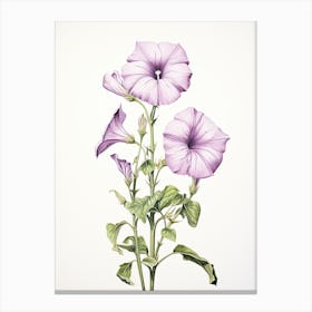 Petunias Flower Vintage Botanical 1 Canvas Print
