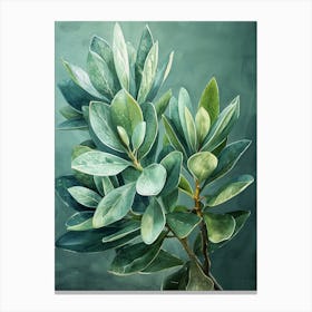 Eucalyptus 2 Canvas Print