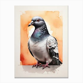 Pigeon 8 Canvas Print