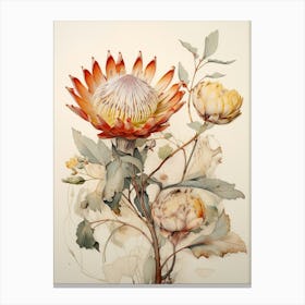Pressed Flower Botanical Art Protea 2 Canvas Print