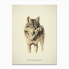 Vintage Wolf Poster Canvas Print