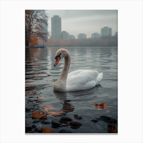 Swan In The Park 1 Canvas Print