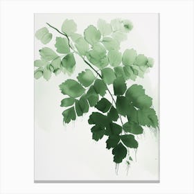 Green Ink Painting Of A Maidenhair Fern 1 Canvas Print