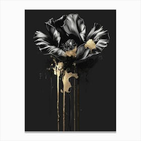 Black Poppy 3 Canvas Print