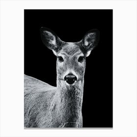 Deer Portrait Canvas Print