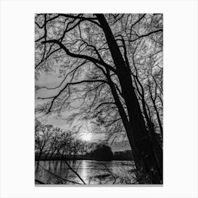 Tree in Winter Black And White Photo Canvas Print