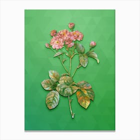 Vintage Pink Rosebush Botanical Art on Classic Green n.1066 Canvas Print