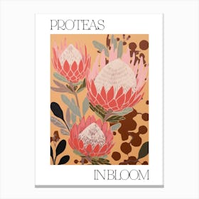 Proteas In Bloom Flowers Bold Illustration 4 Canvas Print