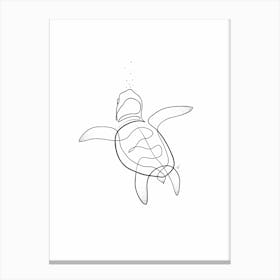 Turtle Canvas Print