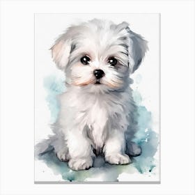 Maltese Puppy Canvas Print