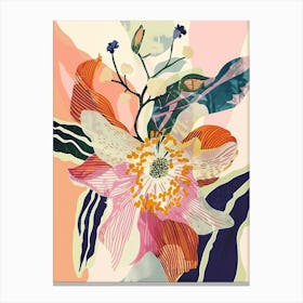 Colourful Flower Illustration Hellebore 1 Canvas Print