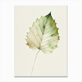 Sycamore Leaf Minimalist Watercolour 1 Canvas Print