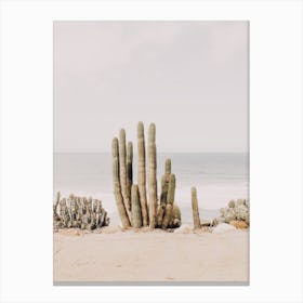 Oceanside Cactus Canvas Print