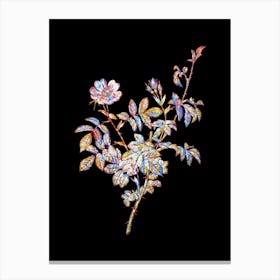 Stained Glass White Downy Rose Mosaic Botanical Illustration on Black n.0334 Canvas Print