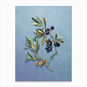 Vintage Olive Botanical Art on Summer Song Blue n.1538 Canvas Print