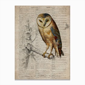 Owl Dictionnaire Universel Dhistoire Naturelle Canvas Print