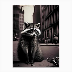 Raccoon In City 2 Vintage Canvas Print
