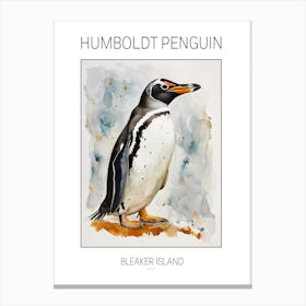 Humboldt Penguin Bleaker Island Watercolour Painting 1 Poster Canvas Print