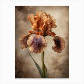 2024 May Poster Canvas Sng Iris 6 Canvas Print