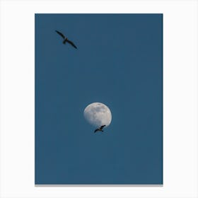 Moon And Seagulls Canvas Print