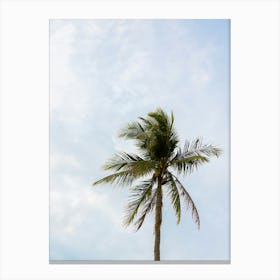 Palm Tree On The Beach |Blue sky |Thailand | Koh Samui Canvas Print