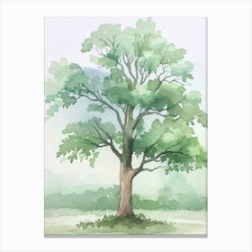 Mahogany Tree Atmospheric Watercolour Painting 3 Canvas Print