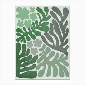 Ferns Canvas Print