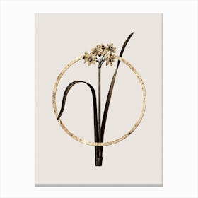 Gold Ring Cowslip Cupped Daffodil Glitter Botanical Illustration n.0353 Canvas Print