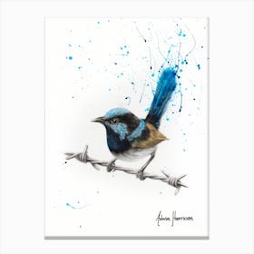 Balanced Blue Wren Canvas Print