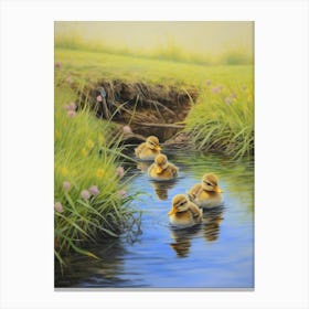 Ducklings Swimming Down The River 3 Canvas Print