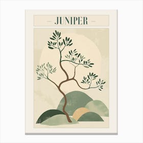 Juniper Tree Minimal Japandi Illustration 2 Poster Canvas Print