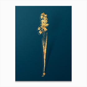 Vintage Turquoise Ixia Botanical in Gold on Teal Blue Canvas Print