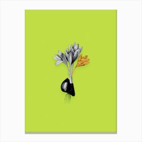 Vintage Autumn Crocus Black and White Gold Leaf Floral Art on Chartreuse Canvas Print