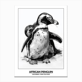 Penguin Grooming Their Feathers Poster Canvas Print