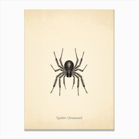 Vintage Spider 2 Poster Canvas Print