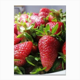 Yummy Strawberry ? Canvas Print