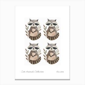 Cute Animals Collection Raccoon 4 Canvas Print