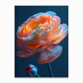 Apricot Peony Canvas Print