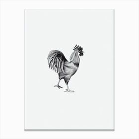 Rooster B&W Pencil Drawing 3 Bird Canvas Print