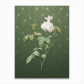 Vintage White Bengal Rose Botanical on Lunar Green Pattern n.0209 Canvas Print