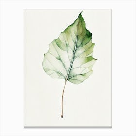 Fig Leaf Minimalist Watercolour 2 Canvas Print