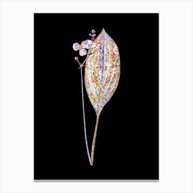 Stained Glass Bulltongue Arrowhead Mosaic Botanical Illustration on Black n.0115 Canvas Print