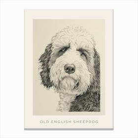 Old English Sheepdog Line Sketch 4 Poster Canvas Print