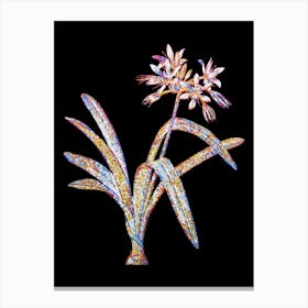 Stained Glass Pancratium Illyricum Mosaic Botanical Illustration on Black n.0317 Canvas Print