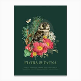 Flora & Fauna with Boreal Owl Canvas Print