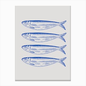 4 blue Sardines Canvas Print