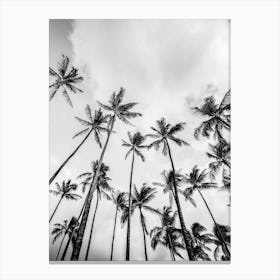 Palm Trees And Clouds Black And White 1 Canvas Print