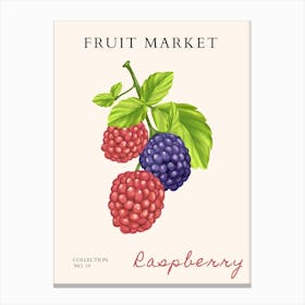 Fruit Market Raspberry Canvas Print