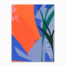 Tangerine Canvas Print