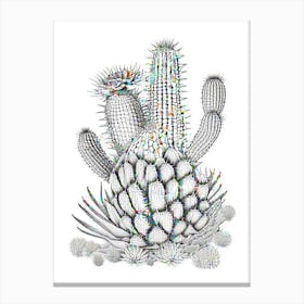 Notocactus Cactus William Morris Inspired 1 Canvas Print